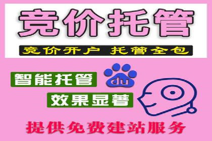 SEM代运营托管公司成功案例分享